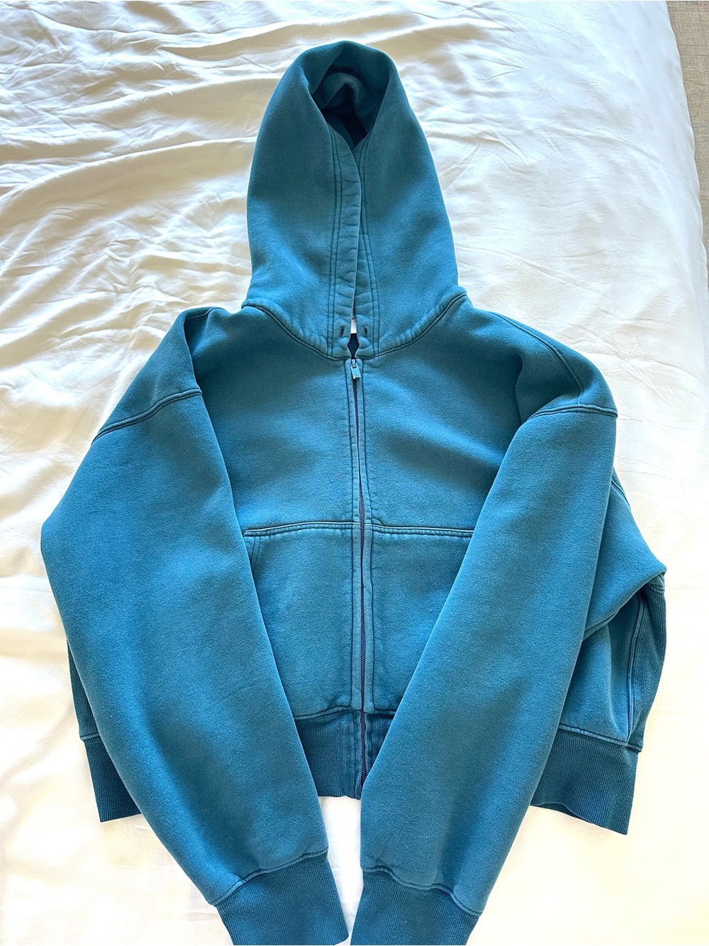 Aritzia SweatFleece Hoodie